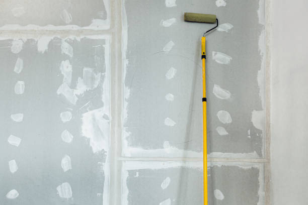 Best Commercial Mold Inspection  in Romancoke, MD