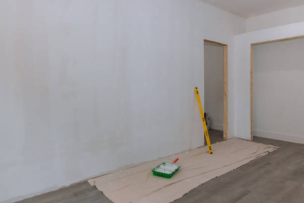 Trusted Romancoke, MD Mold Removal Experts
