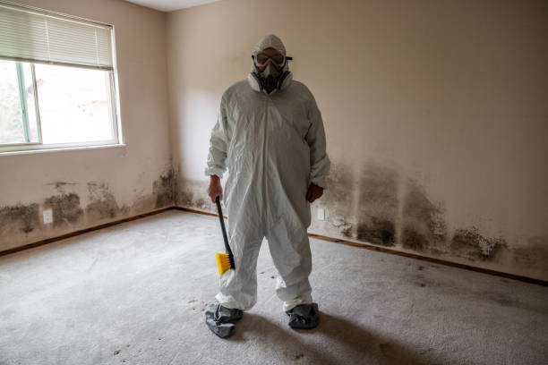 Best Mold Removal for HVAC Installations  in Romancoke, MD