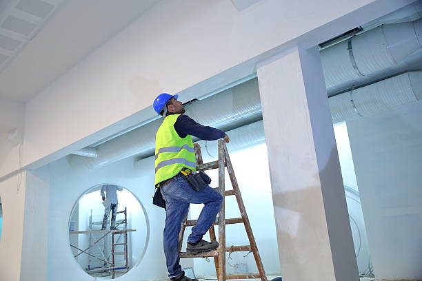 Best Basement Mold Removal  in Romancoke, MD