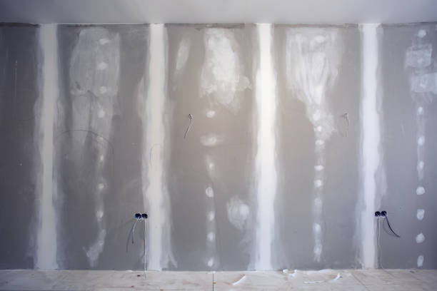 Best HVAC Mold Inspection and Cleaning  in Romancoke, MD